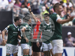 CWC Palmeiras Botafogo Soccer