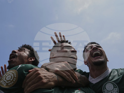 CWC Palmeiras Botafogo Soccer