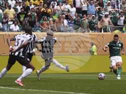 CWC Palmeiras Botafogo Soccer