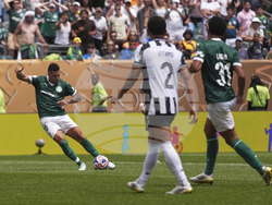 CWC Palmeiras Botafogo Soccer