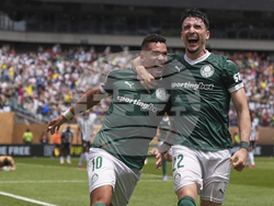 CWC Palmeiras Botafogo Soccer