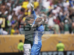 CWC Palmeiras Botafogo Soccer