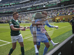 CWC Palmeiras Botafogo Soccer