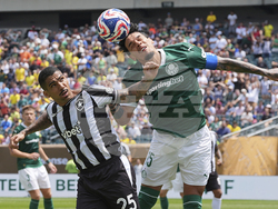 APTOPIX CWC Palmeiras Botafogo Soccer