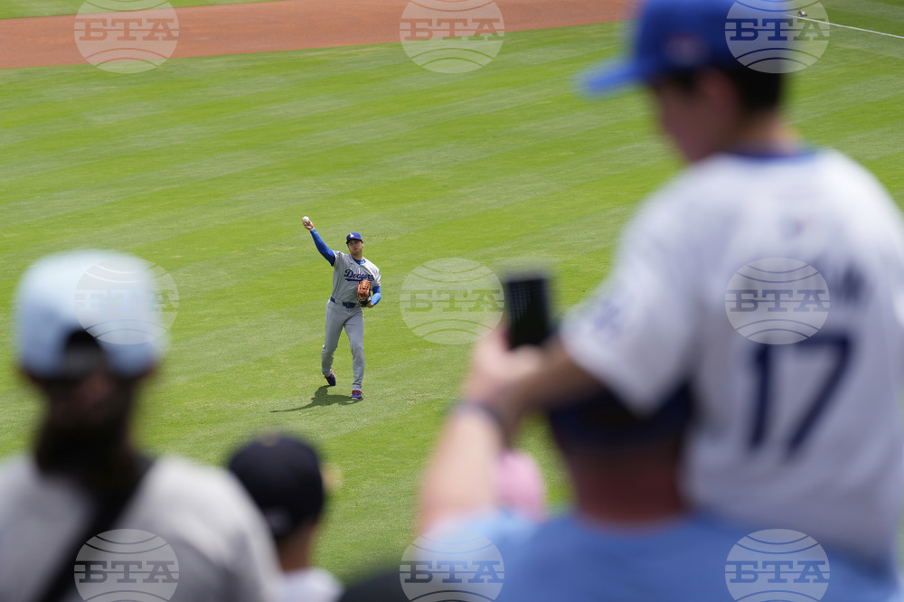 Dodgers Royals Baseball