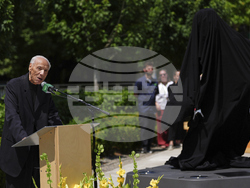 SuperSonics Wilkens Basketball