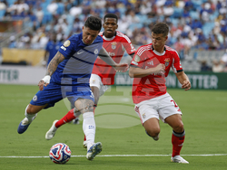 CWC Benfica Chelsea Soccer