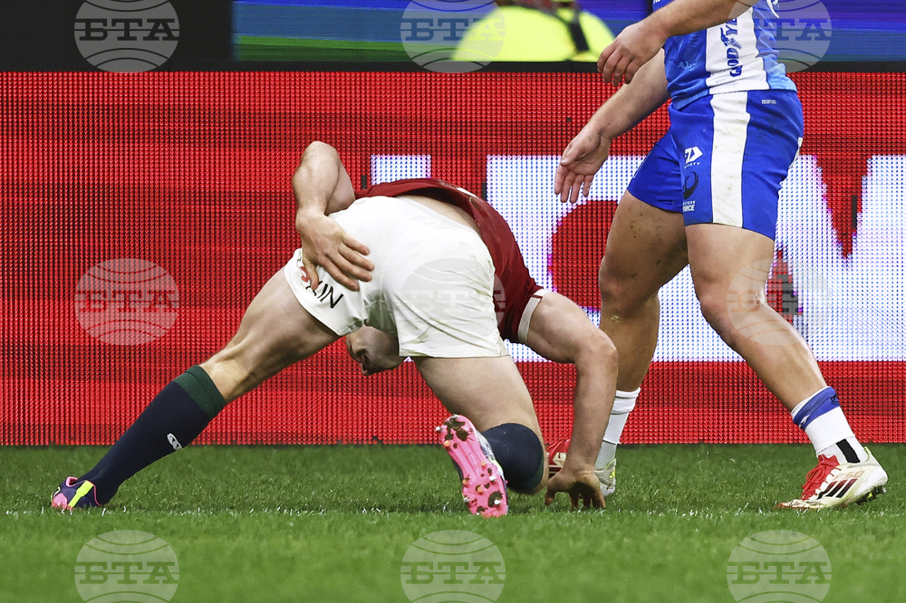 Australia Lions Rugby