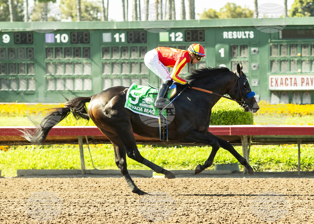 Los Alamitos Horse Racing