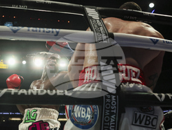 Paul Chavez Jr Boxing