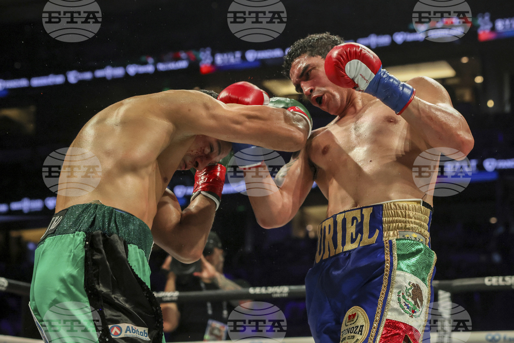 Paul Chavez Jr Boxing