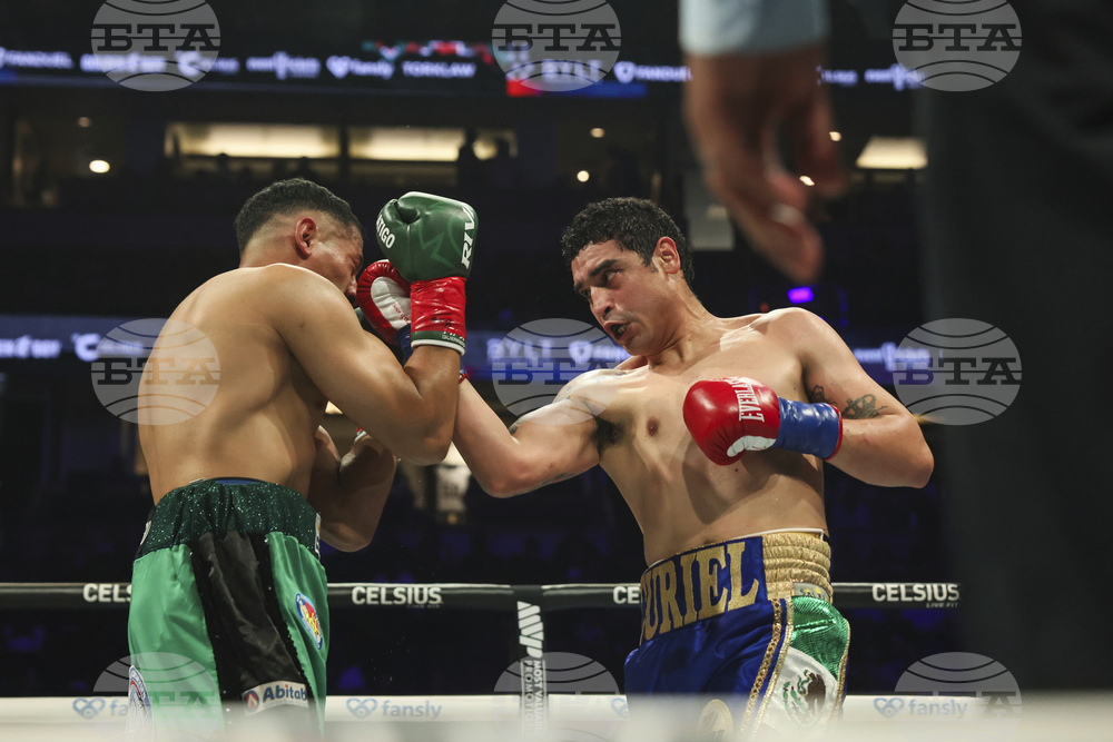 Paul Chavez Jr Boxing