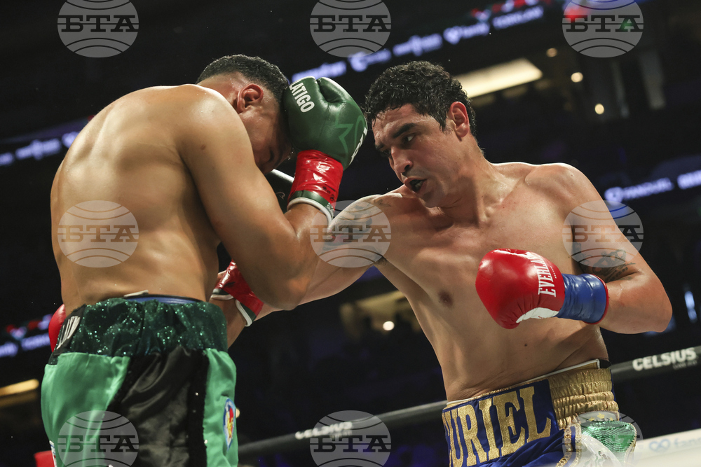 Paul Chavez Jr Boxing