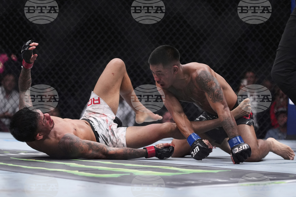 UFC 317 Mixed Martial Arts