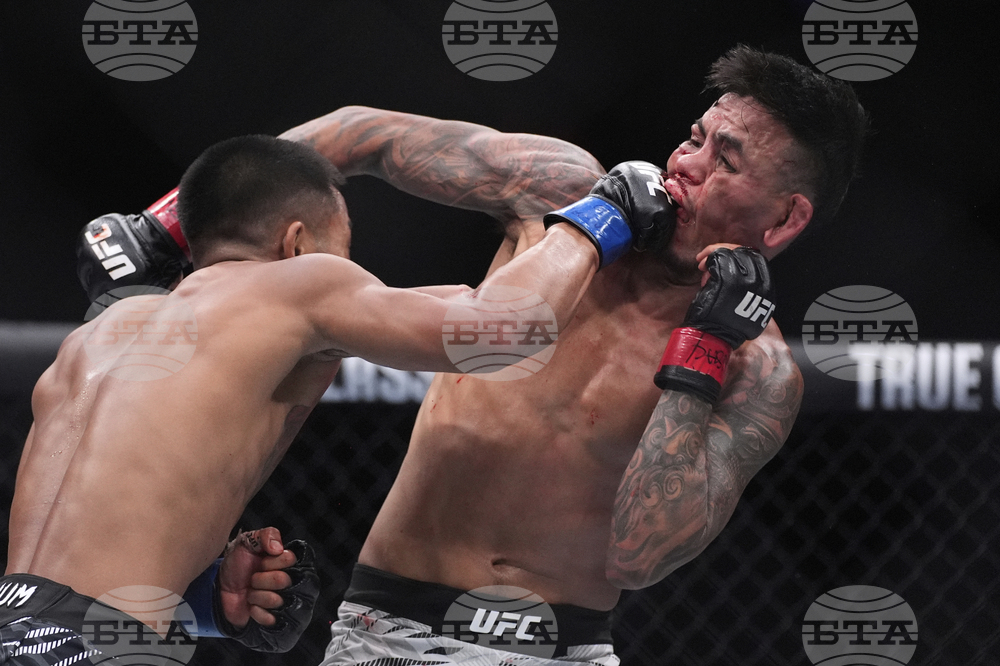 UFC 317 Mixed Martial Arts