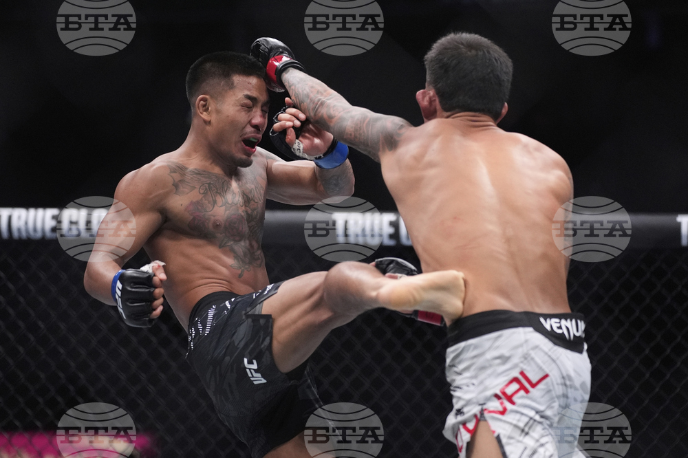 UFC 317 Mixed Martial Arts