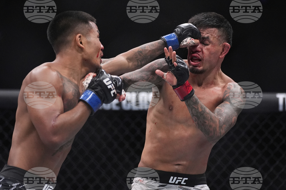 UFC 317 Mixed Martial Arts