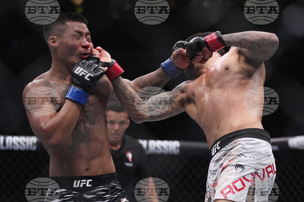 UFC 317 Mixed Martial Arts