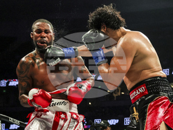 APTOPIX Paul Chavez Jr Boxing