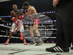 Paul Chavez Jr Boxing