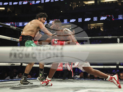 Paul Chavez Jr Boxing