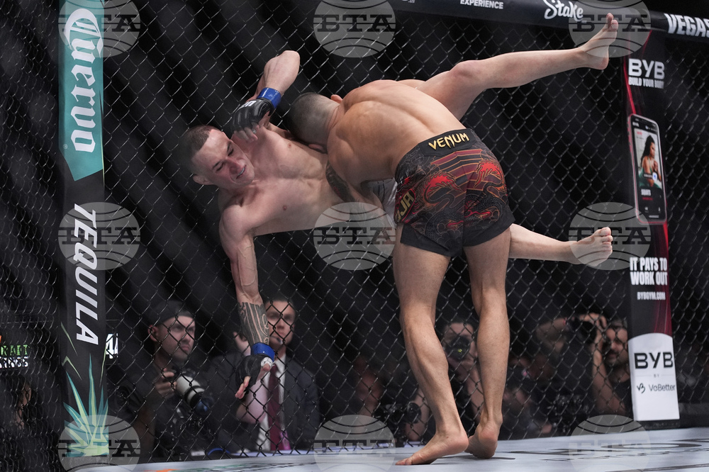 UFC 317 Mixed Martial Arts