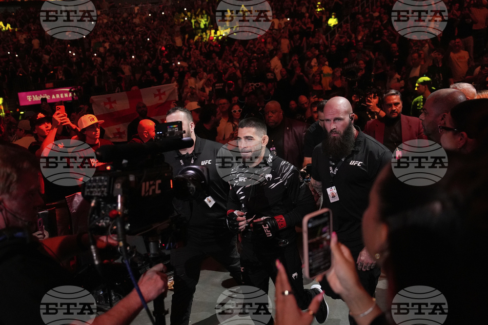 UFC 317 Mixed Martial Arts