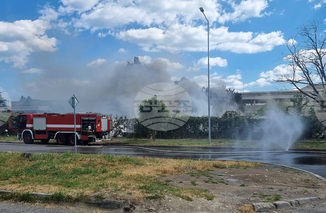Потушени са 142 пожара в страната през изминалото денонощие, двама души са пострадали