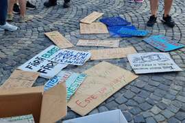 Румъния - протест