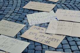 Румъния - протест