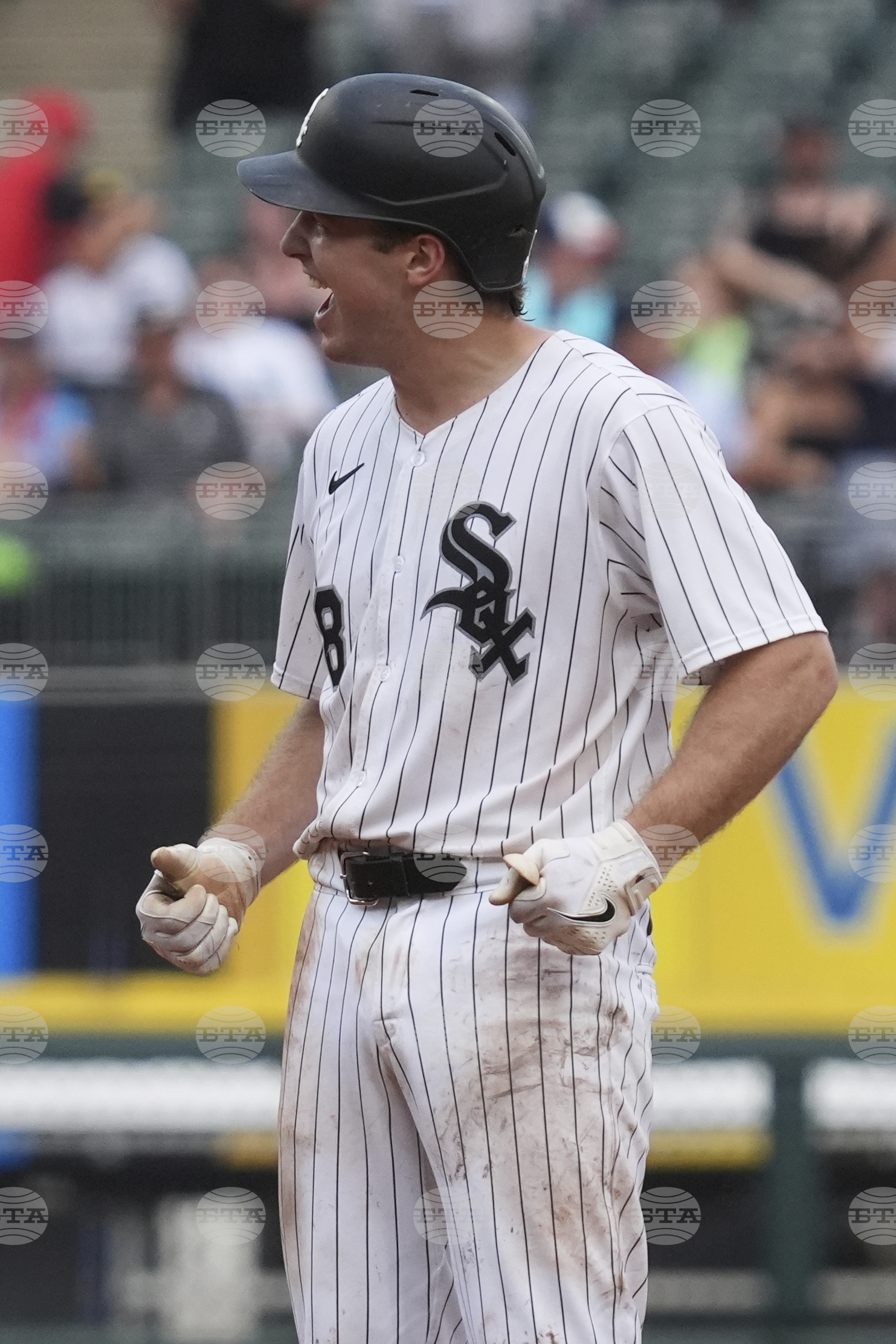 Giants White Sox Baseball