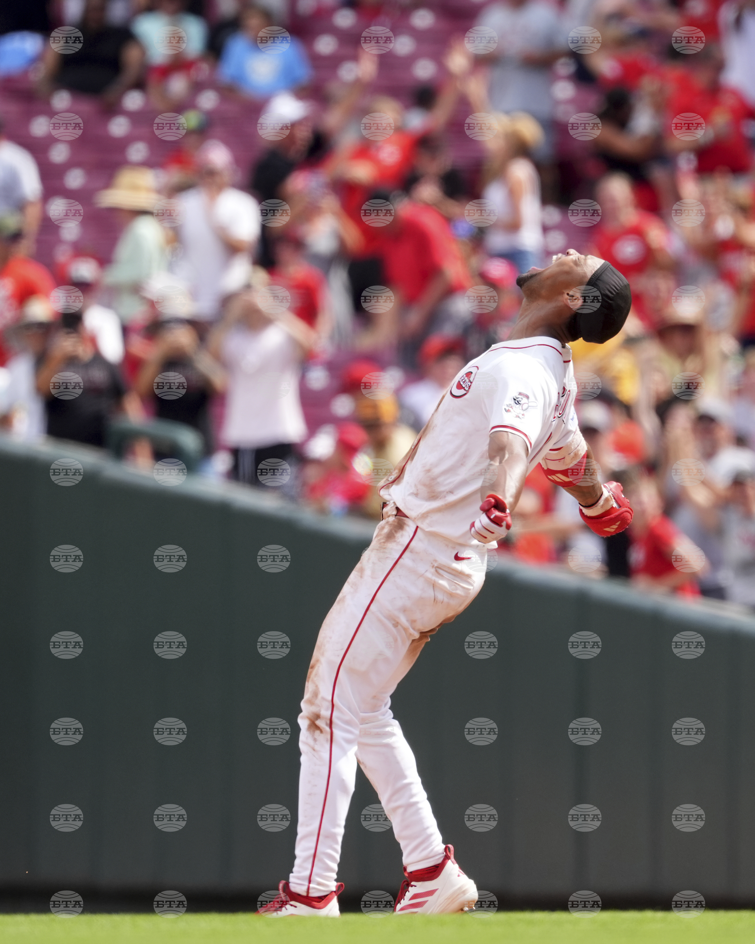 Padres Reds Baseball