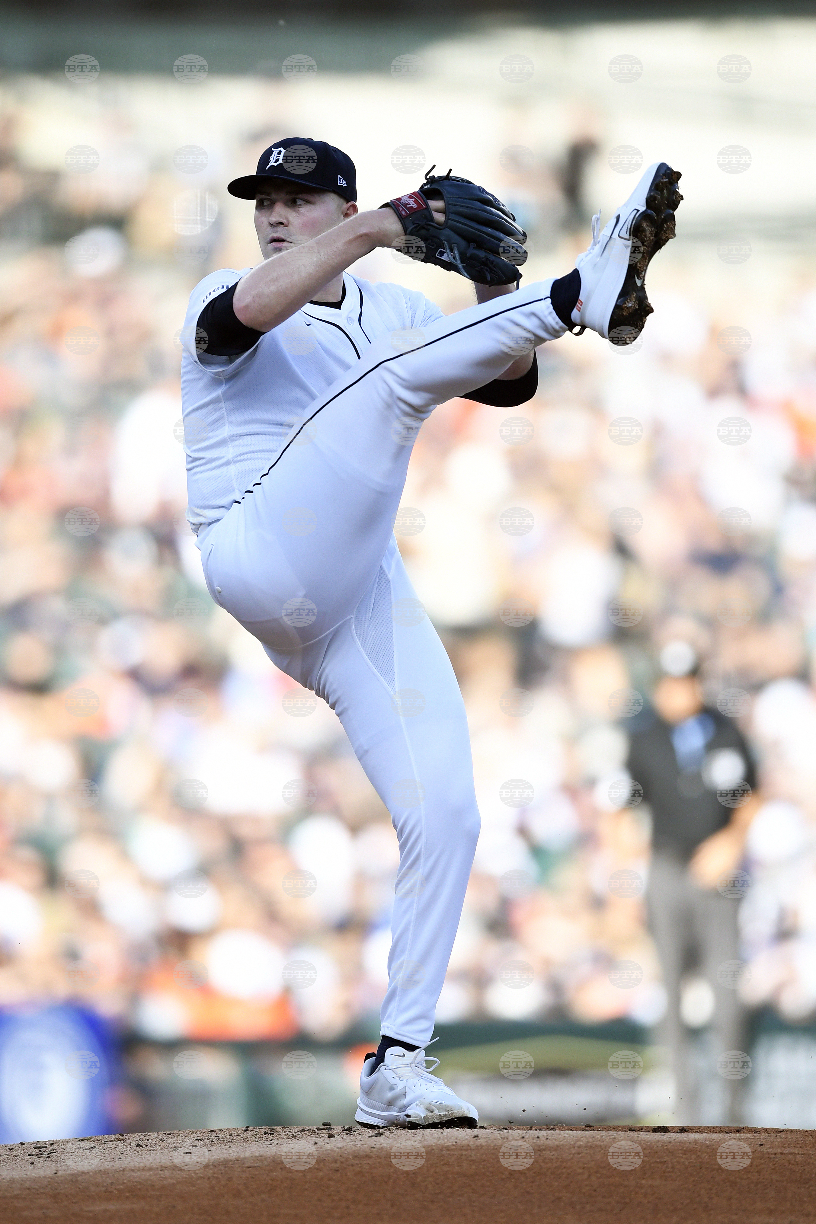 Twins Tigers Baseball