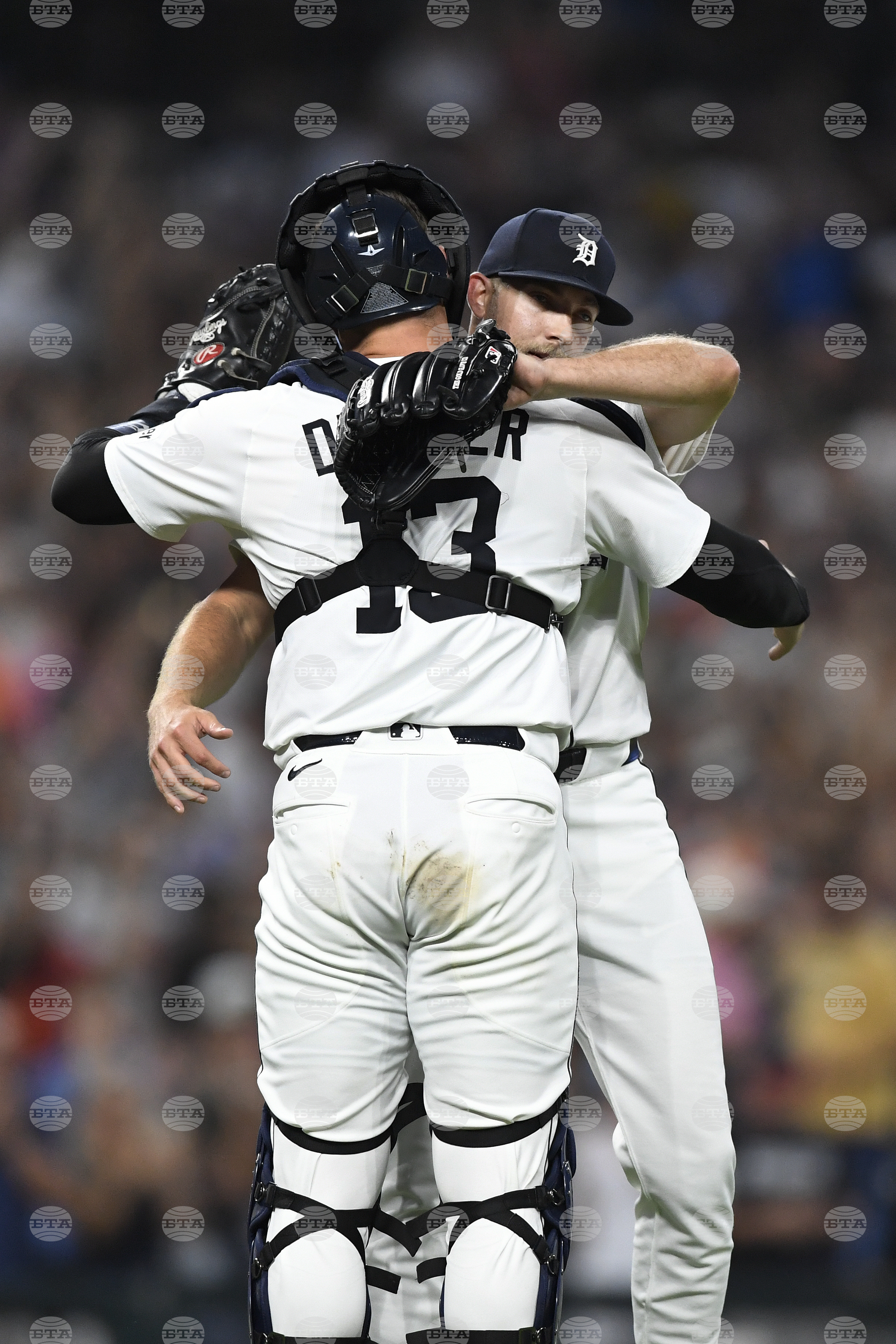 Twins Tigers Baseball