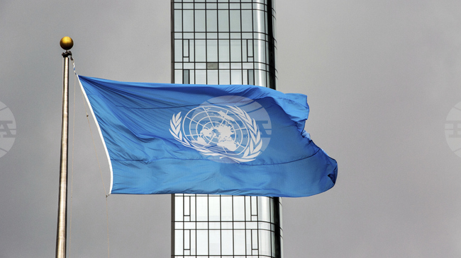 Талибаните разследват смъртни заплахи срещу жени от Афганистан, работещи за ООН, сочи доклад 