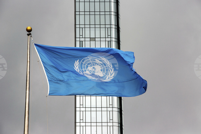 Талибаните разследват смъртни заплахи срещу жени от Афганистан, работещи за ООН, сочи доклад 