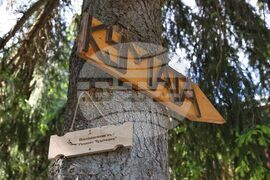 Природен парк „Витоша” - Информационен ден на инициативата „По пътя на вярата”