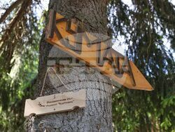 Природен парк „Витоша” - Информационен ден на инициативата „По пътя на вярата”