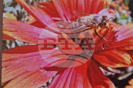 Разград - фотоконкурс - награждаване