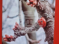 Разград - фотоконкурс - награждаване