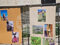 Разград - фотоконкурс - награждаване