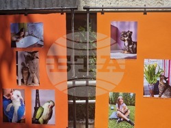 Разград - фотоконкурс - награждаване