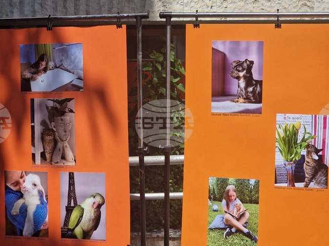 Млади фотографи от Разград и страната показаха обичта си към животните през своя обектив