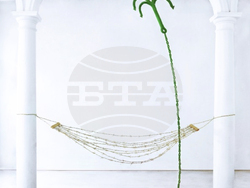 Мариана Василева и кураторът Надежда Джакова подреждат изложбата „Летене и други ежедневни нужди“. Снимка: Националната галерия