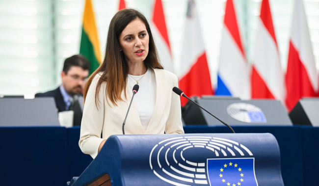 ПП “Възраждане”: Холандски евродепутат потвърждава съмненията на Рада Лайкова за конфликт на интереси в доклада за еврозоната