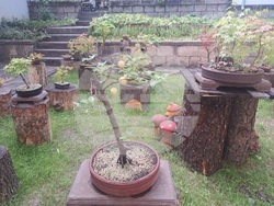 Снимка: Община Шумен