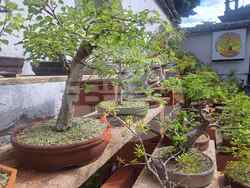 Снимка: Община Шумен