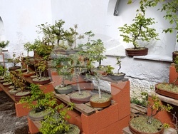 Снимка: Община Шумен