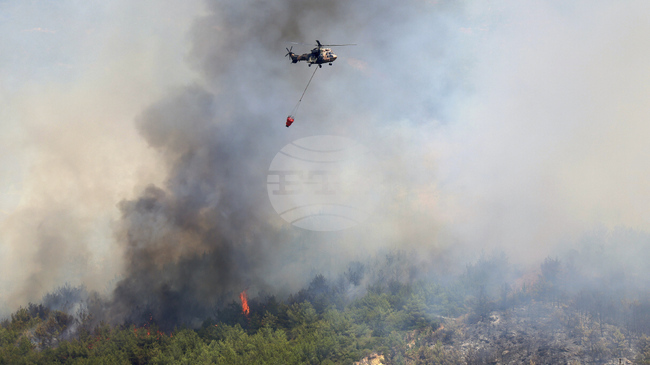 Два отделни пожара обхванаха турския окръг Чанаккале, предизвиквайки евакуации и преустановяване на морския и въздушния трафик 