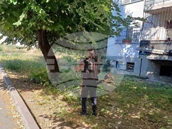 Снимка: Община Шумен